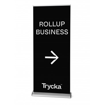Roll-up Business